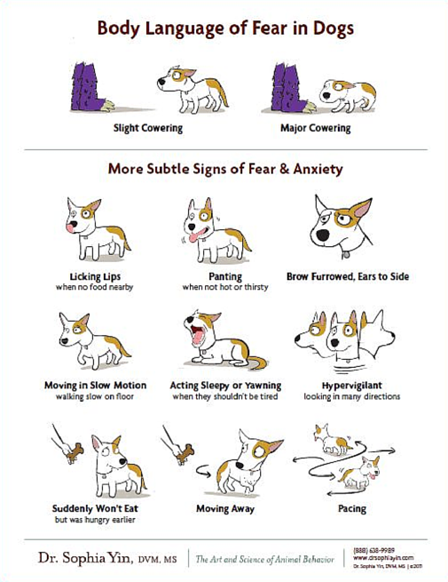 Dr. Sophia Yin artwork titled body language of fear in dogs