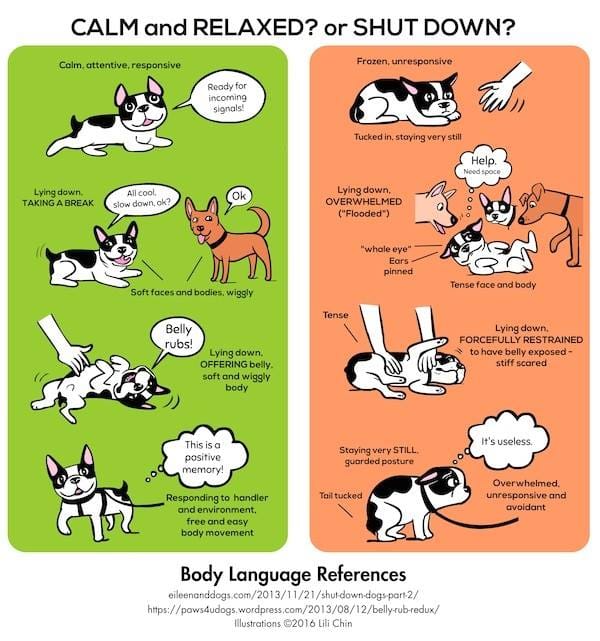 Lili Chin artwork: Calm, Relaxed, or Shut Down?