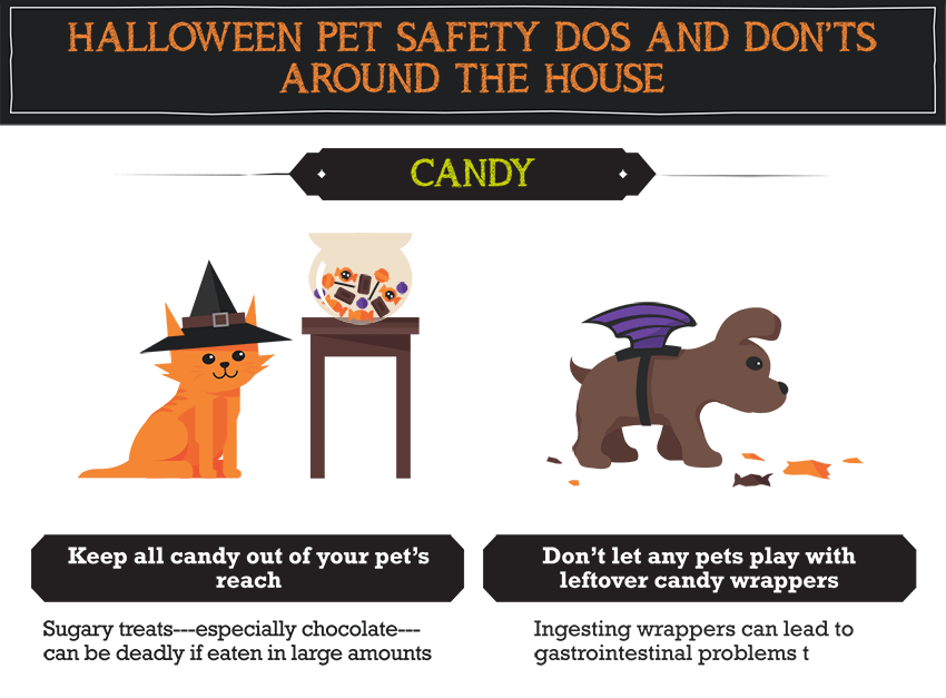 Infographic directions about Halloween candy