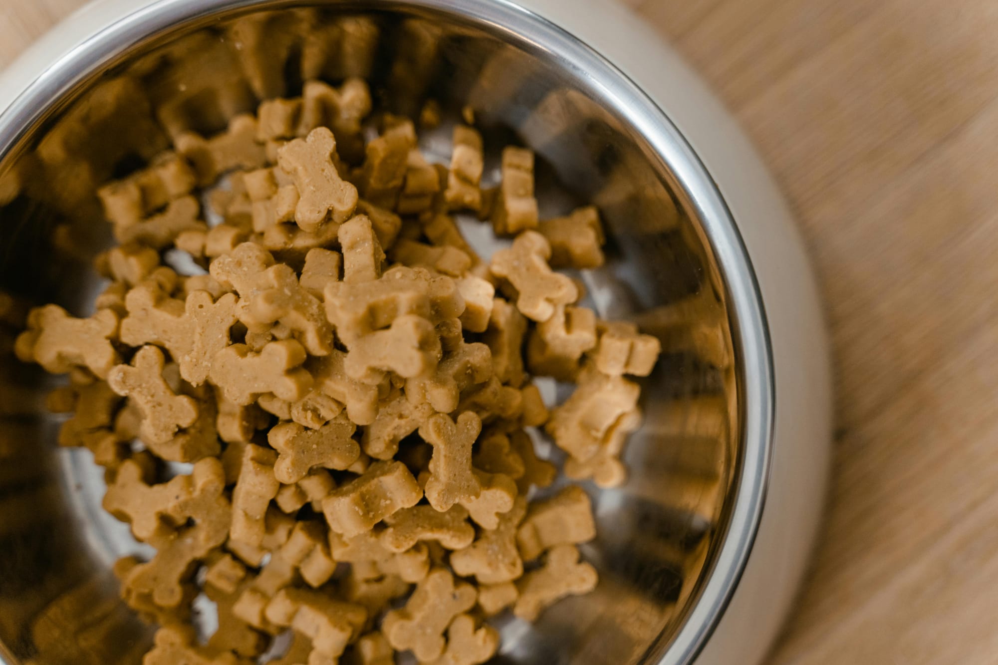 soft dog biscuits in a bowl
